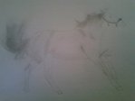 Bleistiftzeichnung laufendes Pferd
