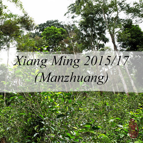 Xiang Ming (Manzhuang) 2015/17