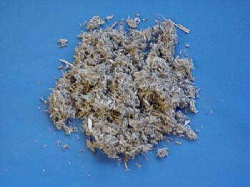Artemisia capillaris, Herba - Besenbeifusskraut - YIN CHEN HAO