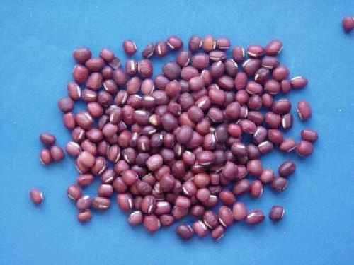 Phaseolum, Semen - Rice Bean - CHI XIAO DOU