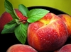 Parfümöl Peach (Pfirsich) 10 g
