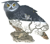 S34 - Owl in Landscape