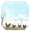 L14 - Hühner im Winter