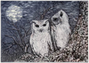 V31 - Couple of Owl