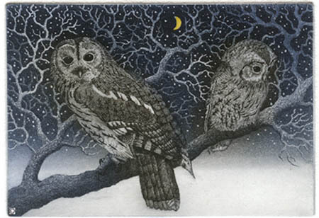 12. Owl in Winter
