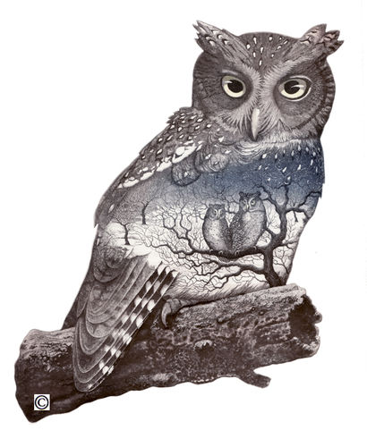 13. Owl in Love