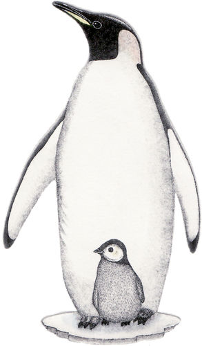 109. Penguin Mom