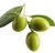 Interesting facts about the Olive & Co