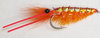 Orange Glimmer Shrimp