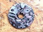 Donut (5,0cm)  - Turritella