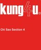 Kung4u - Wing Tjun Chi Sao Section 4 in HD