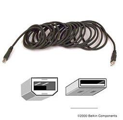 Belkin USB 2.0 Hi-Speed Kabel 3m