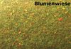 Ground mat, flower meadow, 75 x 100 cm (Jordan 107)