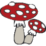 Mushroom KidZ