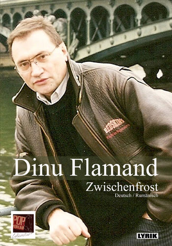 Dinu Flamand: Zwischenfrost / Frigul intermediar.