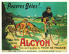 Poster Alcyon