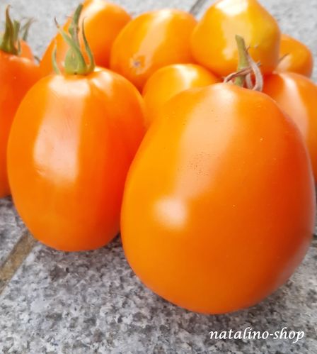 Tomate *Herz von Aschgabat*