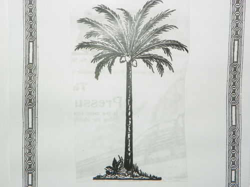 Palme 120mm mit Breitem Fußbrett