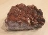 Stromatolith