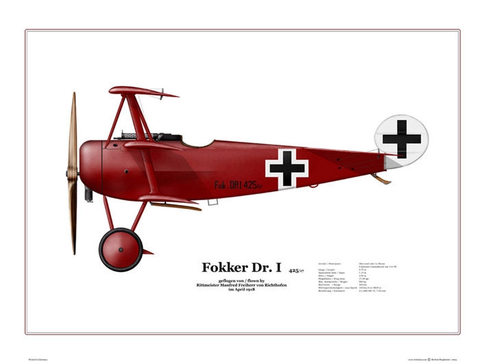 Fokker Dr.I - 425/17