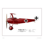 Fokker Dr.I - 425/17