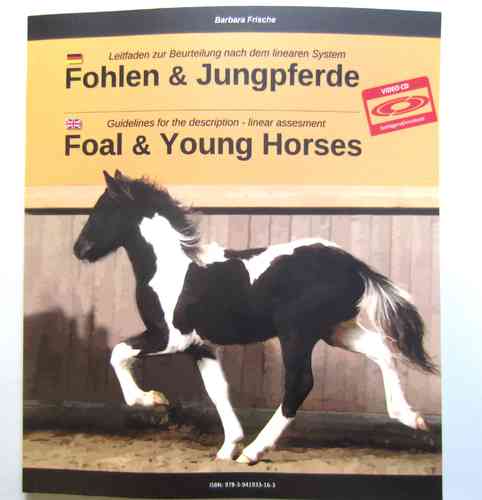 Buch "Fohlen & Jungpferde"