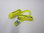 strap with buckle, yellow, 25mm, printed