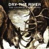Dry the River - Chamber & the Valves 7"